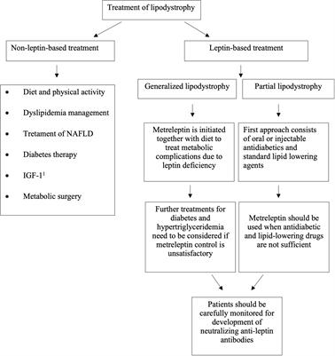 Treatment Options for Lipodystrophy in Children